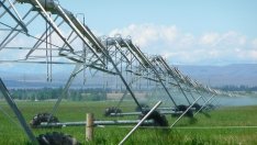 Тази година започва приеми по още осем мерки и подмерки от ПРСР