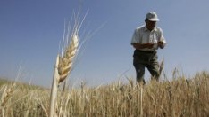 Войната в Украйна може да доведе до световна продоволствена криза