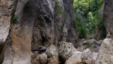 Въпросът за златодобив в Трън ще се решава на местен референдум