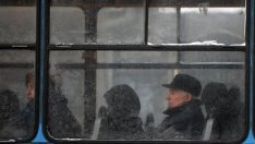 Безплатен градски транспорт в дни със замърсен въздух предлага Фандъкова