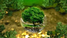 Замърсяване, застрояване и наказателни процедури - екологията у нас през 2021 г.