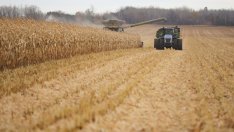 Решения на парче за компенсиране на намалялото украинско зърно правят света уязвим