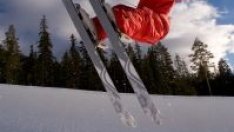 Цените в зимните ни курорти паднаха с около 10% след Нова година