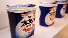 50 години по-късно: Как българското кисело мляко стана популярно в Япония