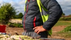 Въпреки коронавируса украинците заминават да спасяват реколтата в Европа