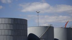 Новината за положителния тест на Доналд Тръмп тласна петролните цени надолу*