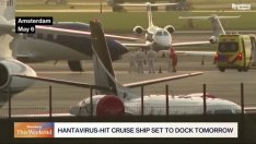 Д-р Джа: Шансовете за голяма глобална епидемия от хантавирус са изключително малки