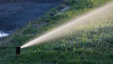 Как оцеляват земеделски производители при поскъпване с 385% на водата за напояване?