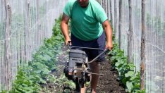 БСК: Агроминистерството иска да подчини независимите земеделски организации