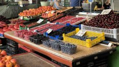 Малката потребителска кошница поскъпна за година със 7% до 111 лв.