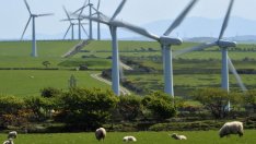 Изчезват ли изкопаемите горива от енергийната карта на ЕС?