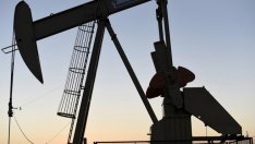 Петролът поевтинява след новите призиви на Тръмп към ОПЕК*