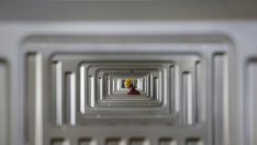 В. Велев: Половината млади висшисти заемат позиции, подходящи за средно образование