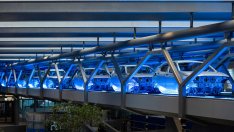 Спасението на германската индустриална икономика зависи от зеления ѝ експеримент