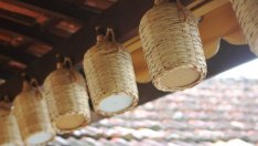 Нов Закон за виното ще регулира нарастването на лозята