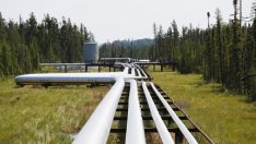 "Турски поток" може да се влее в TANAP?