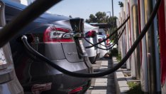 Фондът, който спечели 1,5 млрд. долара за 2 месеца от Tesla