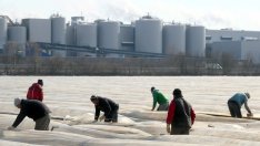 Безработицата в Германия продължава да спада