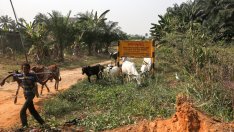 Западът се провали в обещанията си за финансиране на развиващия се свят