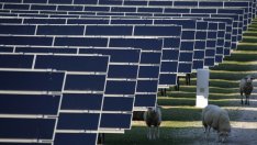 AES откри най-големия хибриден парк за производство на слънчева енергия в света