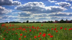 Христо Бозуков: Агроминистерството можеше да подготви само Кодекса за земята