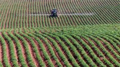 КЗК позволи покупката на "Агрикола България" от EuroChem Trading