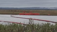 „Сребърни куршуми“ за опазването на околната среда няма