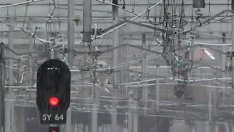 Ново бъдеще за БДЖ "Товарни превози"?