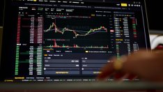 Пазарната капитализация на стейбълкойните в евро стигна почти 500 млн. долара