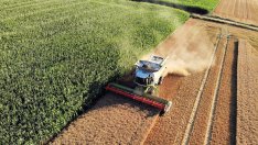 България ще иска подкрепа за инфраструктура от ЕК заради транзита на украинско зърно