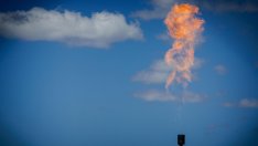 Улавянето на въглерод не е климатична панацея