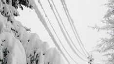 С. Тодорова: Инвестиции в мрежата са необходими, независимо дали има бедствия