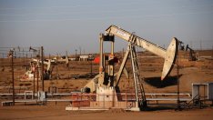 Водещите страни производителки на петрол замразяват добива до октомври?