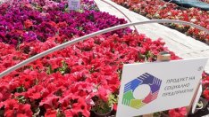 Добре дошли в „Чудната градина“ – един проект на доброто в сърцето на Добрич