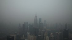 Инвестициите в „зелени“ градове ще имат възвръщаемост от 24 трлн. долара до 2050 г.