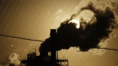 Публичната подкрепа за компаниите трябва да зависи от бизнес поведението им