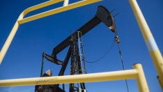 Петролните трейдъри могат да бъдат доволни от 2020 г.