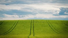 „ЕЛАНА Фонд за земеделска земя“ разпределя дивидент от малко над 1 ст. на акция