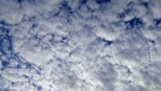 ЕС отчита значителен спад на замърсяването на въздуха за 28 години