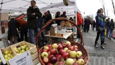 Производители на плодове и зеленчуци получиха близо 40 млн. лева субсидии