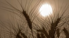 Антонио Гутериш: Войната в Украйна постави света в средата на перфектната буря