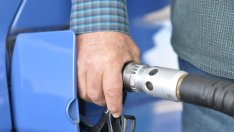 Две компании държат 80% от капацитета на данъчните складове у нас