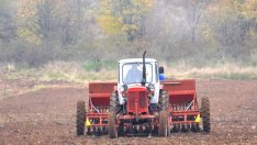 Зърнопроизводители се опасяват от провал на кампанията по очертаване на нивите