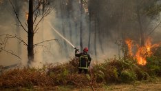 Горещите лета в Европа прерастват от сезонна аномалия в повтарящ се риск