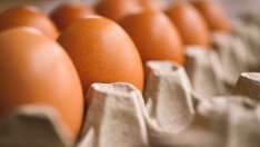 ЕС удължава безмитния внос от Украйна, но с мерки за защита на местната продукция