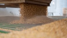 Китай замрази някои мита за САЩ, но високите налози за купувачите на соя остават