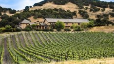 Туристи преоткриват България като гурме дестинация