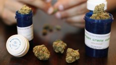 Законните продажби на марихуана в САЩ са се увеличили с 30% през 2016 г.