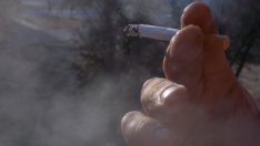 Менда Стоянова: По-евтините цигари ще поскъпват по-бързо догодина