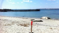 Пак строителна атака срещу спортната база на НСА край Несебър